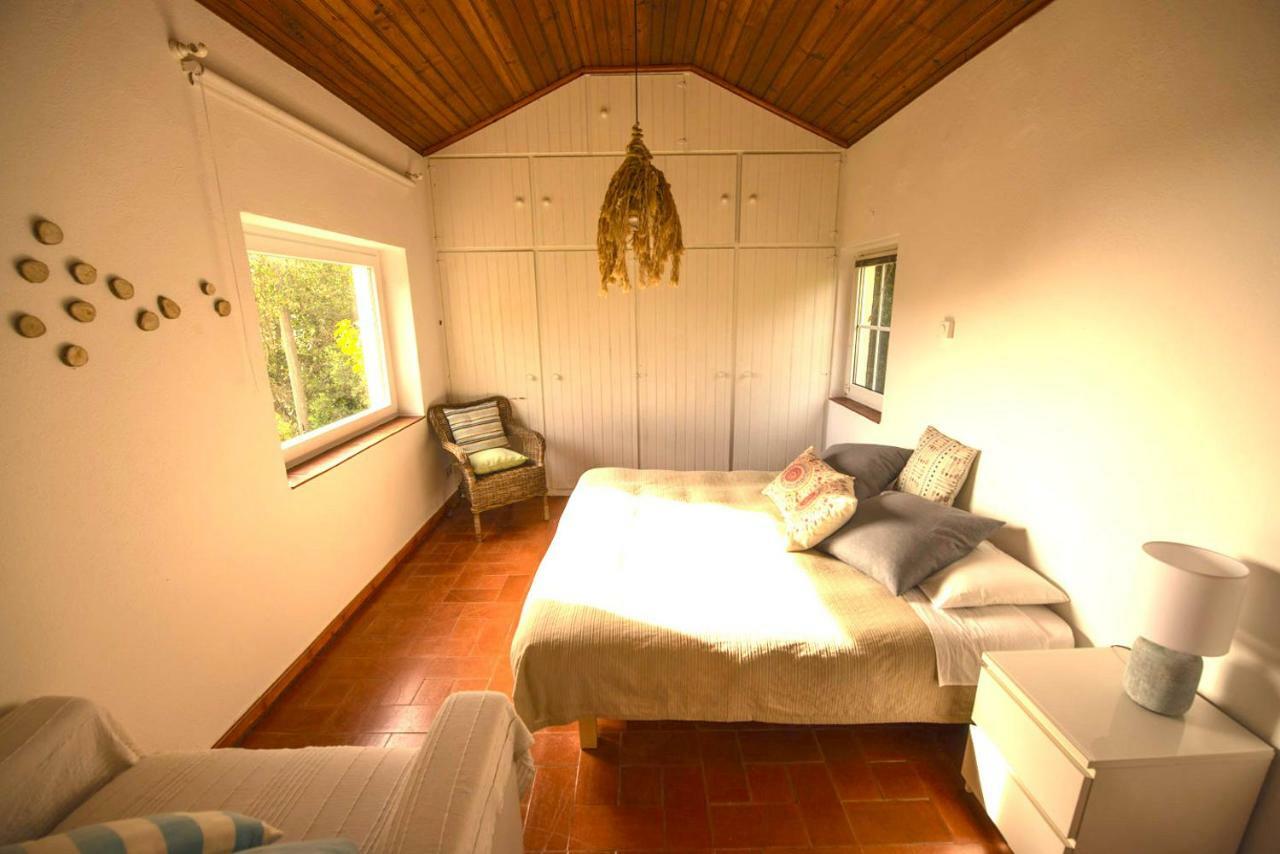 Villa A House In The Woods Sintra Esterno foto